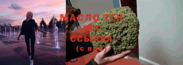 дмт Богородицк