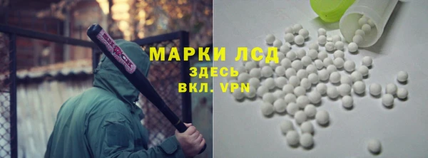 PSILOCYBIN Бородино