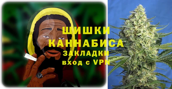 дмт Богородицк