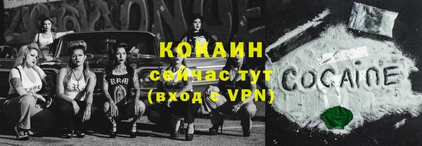тгк Богданович