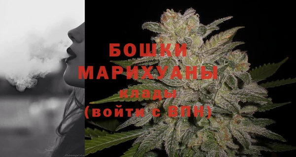 ПСИЛОЦИБИНОВЫЕ ГРИБЫ Богородск