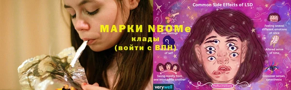 PSILOCYBIN Бородино